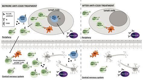 Treatment Mechanisms