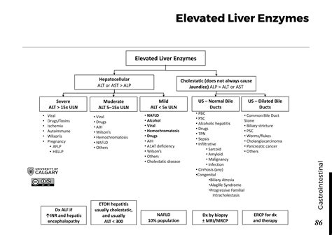Treatment Options For Low Liver Enzymes