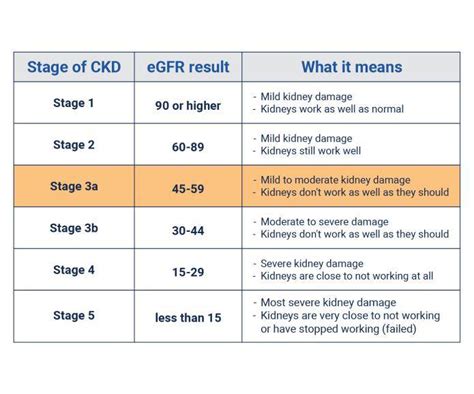 Treatment Options for Stage 3 Kidney Failure
