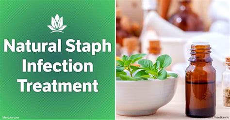 Treatment Options for Staph Infections