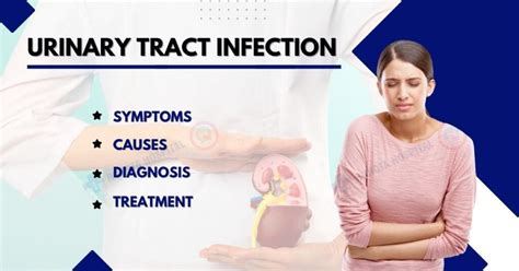 Treatment Options for UTI Symptoms
