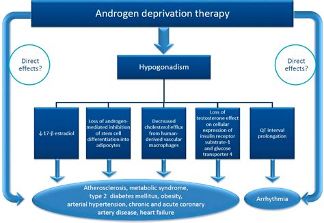 Types of Androgen Deprivation Therapy
