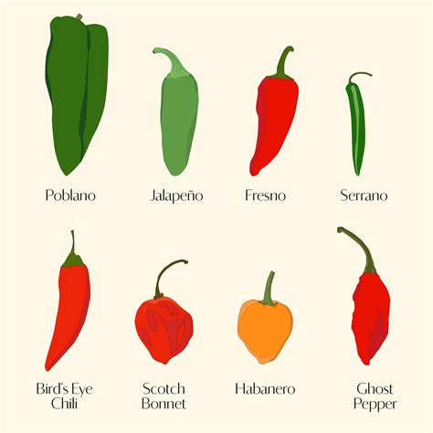 Types of Chili