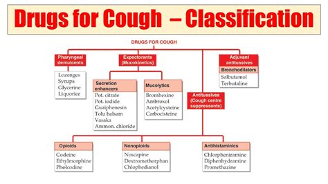 Types of Cough Medications