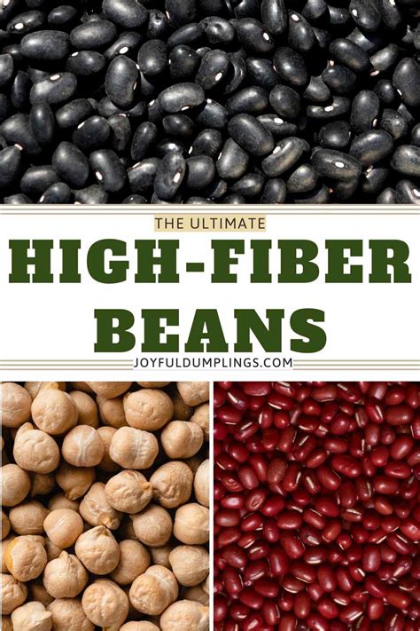 Types of High Fiber Beans
