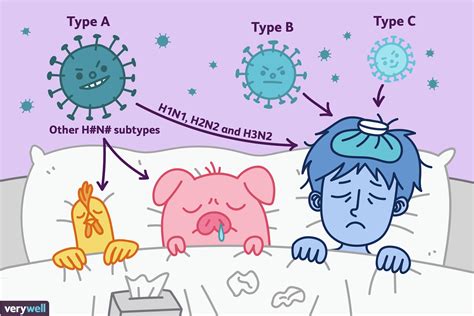 Types of Influenza