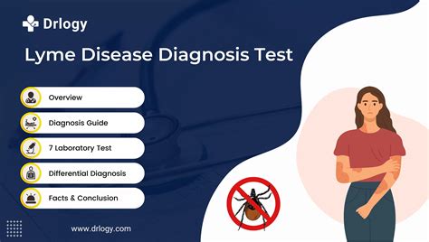 Types of Lyme Disease Tests