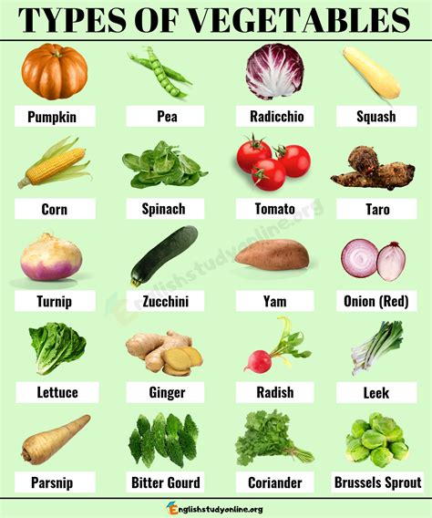 Types of Vegetables