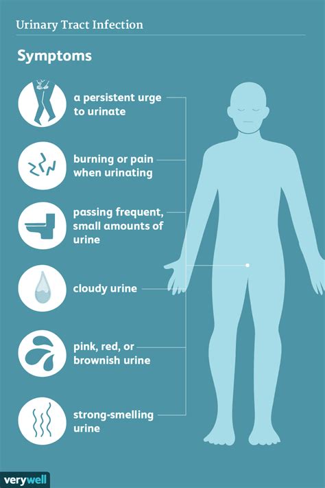 UTI Symptoms in Men