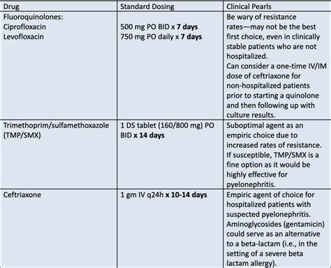 UTI Treatment Options