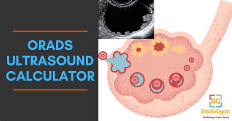 Ultrasound Calculation