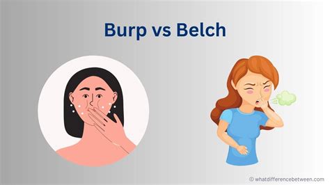 Understanding Belching