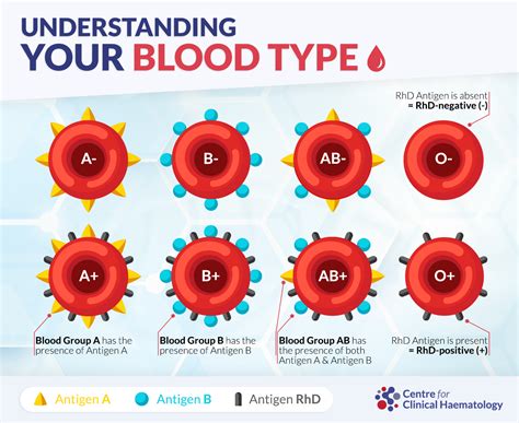 Understanding Blood Types