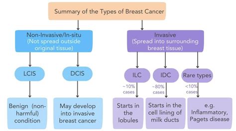 Understanding Breast Cancer Genes