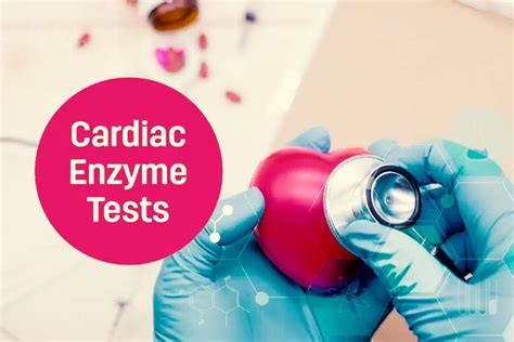 Understanding Cardiac Enzymes