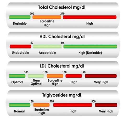 Understanding Cholesterol