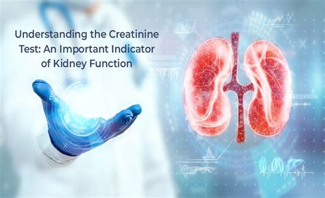 Understanding Creatinine