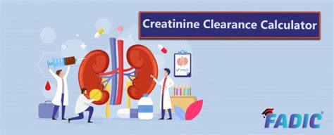 Understanding Creatinine Clearance