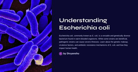 Understanding E. Coli