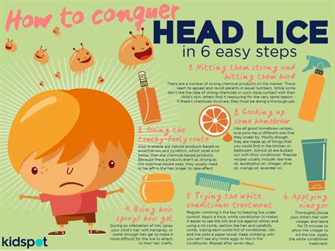 Understanding Head Lice