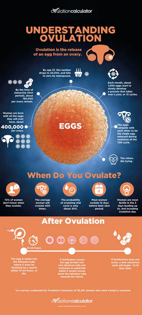 Understanding Ovulation