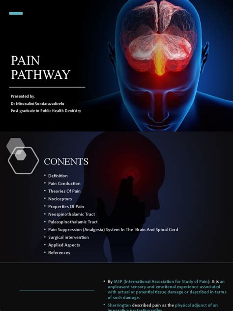 Understanding Pain Mechanisms