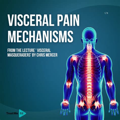 Understanding Pain Mechanisms