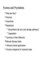 Understanding Purines