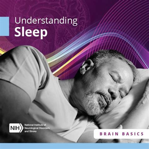 Understanding Sleep Basics
