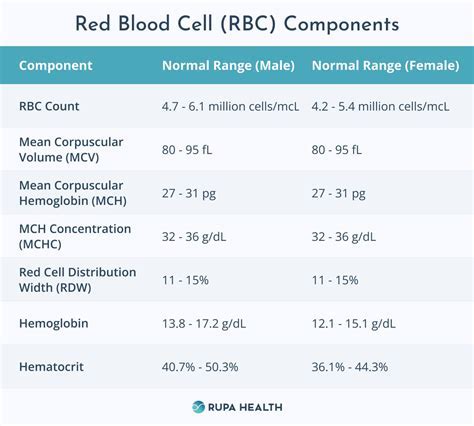 Understanding The Results