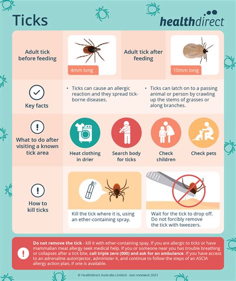 Understanding Tick Bites
