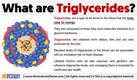 Understanding Triglycerides