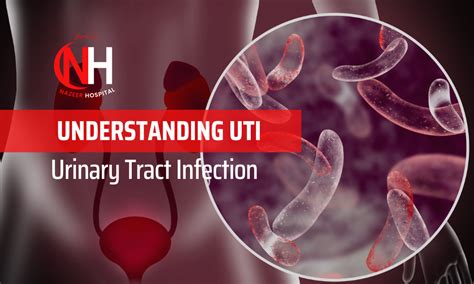 Understanding UTI Symptoms
