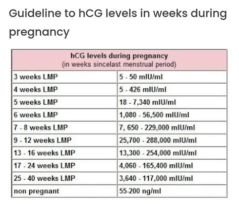 Understanding hCG Levels