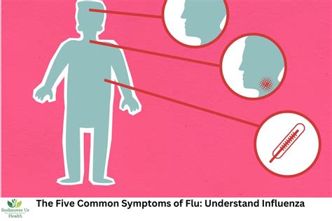 Understanding the 7 Flu Symptoms