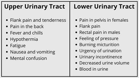 Upper Urinary Tract Symptoms