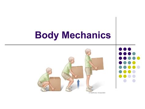 Use Proper Body Mechanics