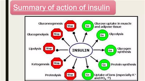Uses of Insulin in Metabolic Disorders