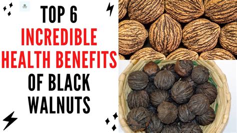 Using Black Walnut for Health