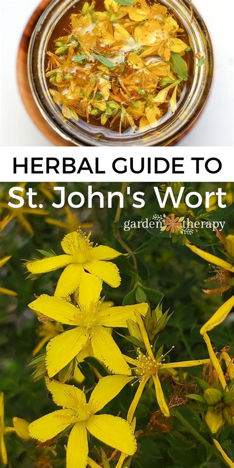 Using St. John's Wort
