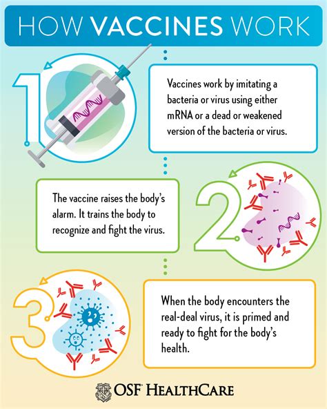 Vaccination as a Prevention Method