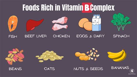 Vitamin B Foods