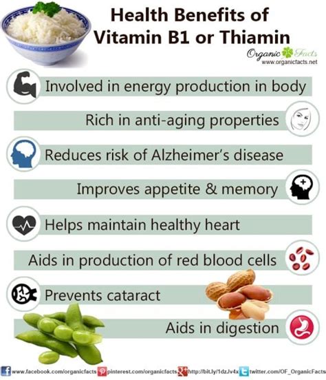 Vitamin B1 Benefits