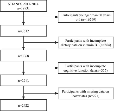 Vitamin B1 Cognitive Function