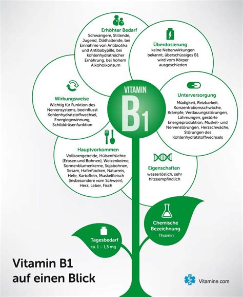 Vitamin B1 benefits for nerve function
