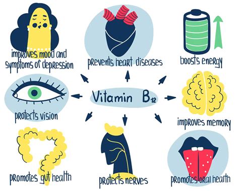 Vitamin B12 Importance