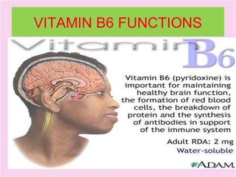Vitamin B6 Brain Function