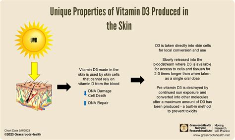 Vitamin D3 Sun Exposure