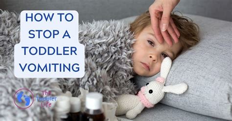 Vomiting Toddler Tips