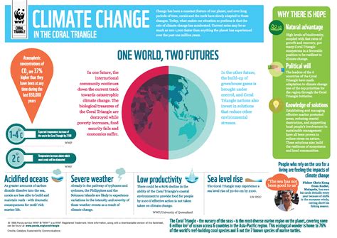 WWF's Role in Addressing Climate Change